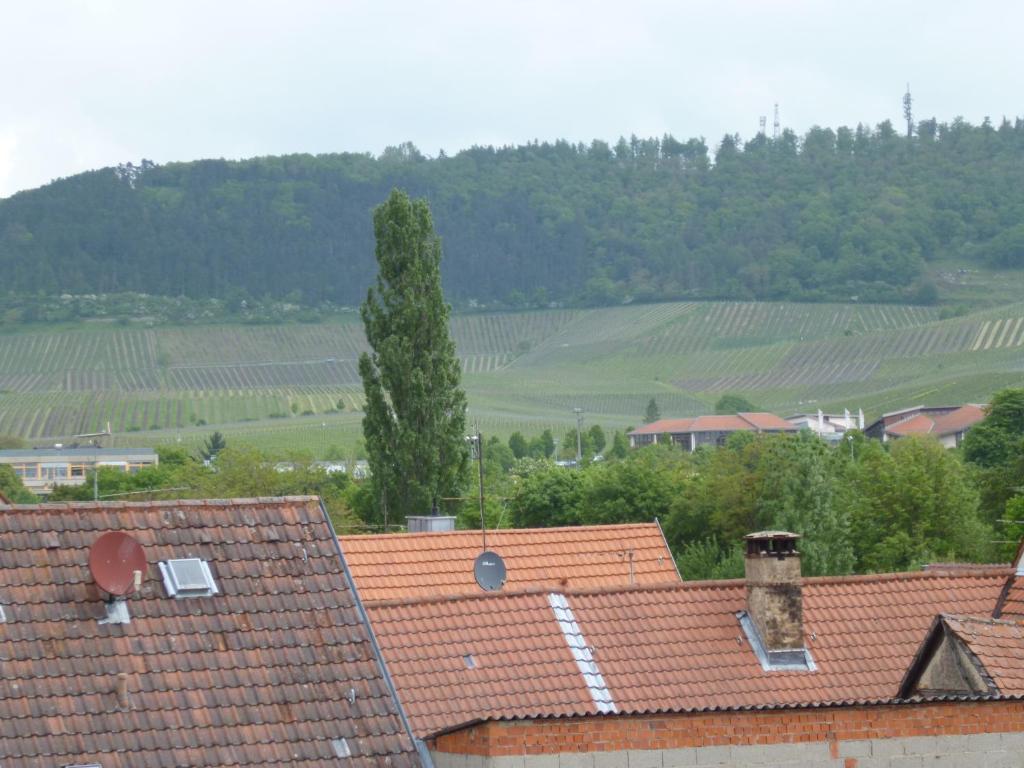 Hotel Garni Zum Hirschen Iphofen Zewnętrze zdjęcie